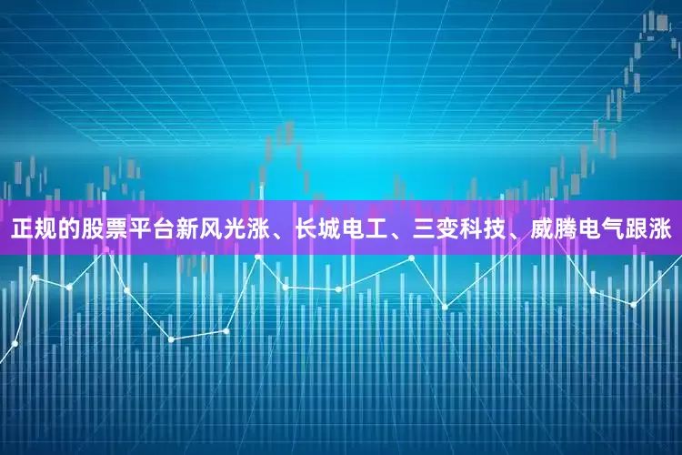 正规的股票平台新风光涨、长城电工、三变科技、威腾电气跟涨