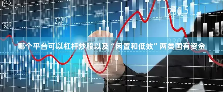 哪个平台可以杠杆炒股以及“闲置和低效”两类国有资金